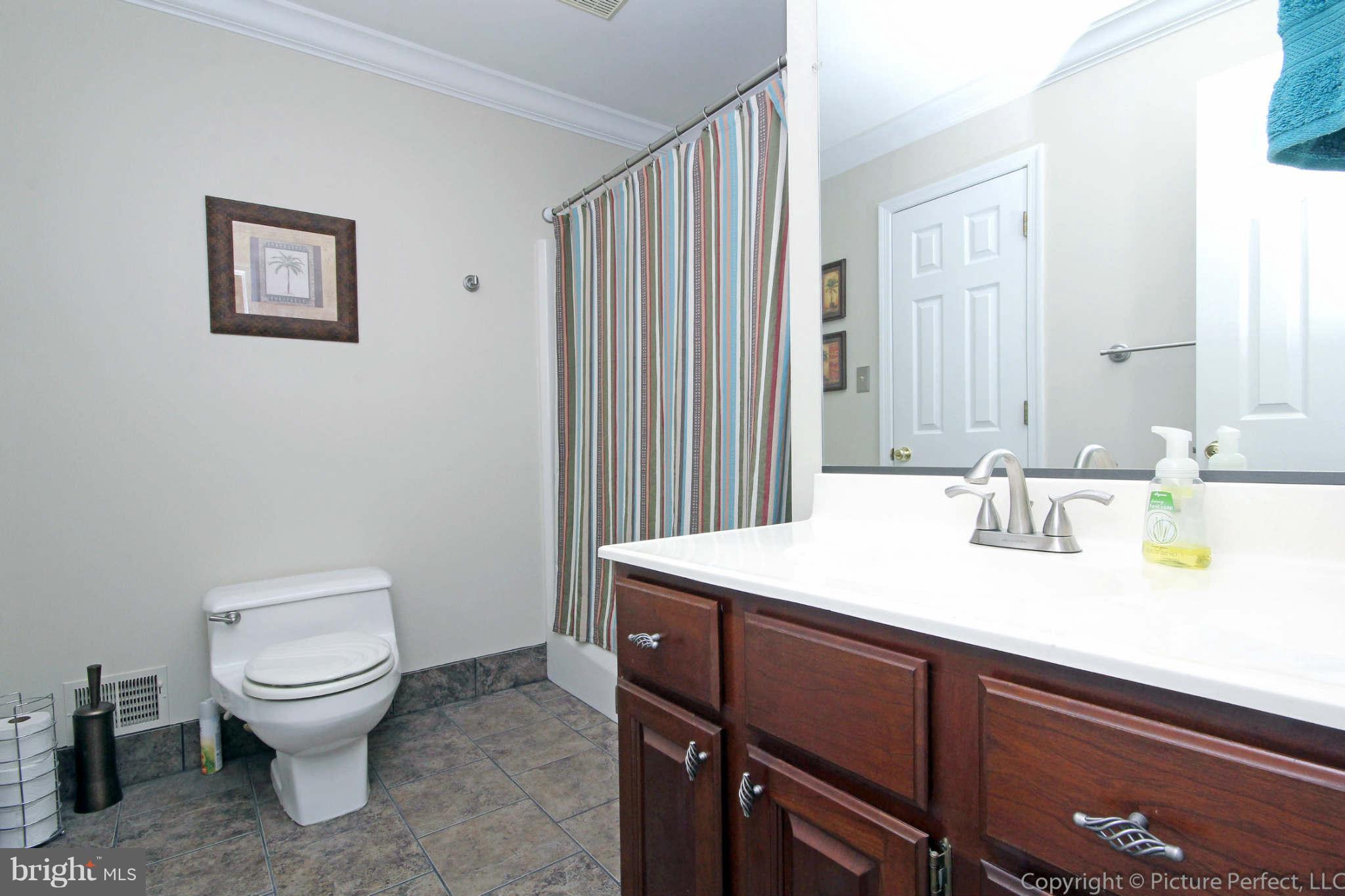 11771 Ridgeway Drive Monrovia, MD 21770 - Photo 10 of 30 First Level Master Bath