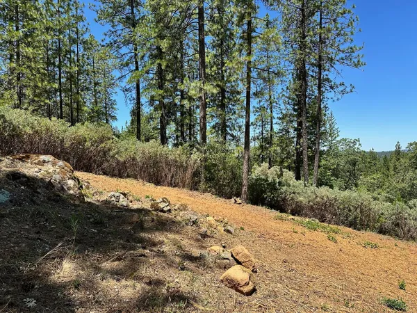 $300,000 | 400 East Summit View Dr Meadow Vista, Meadow Vista, CA 95722