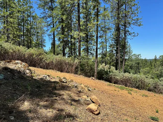 $300,000 | 400 East Summit View Dr Meadow Vista, Meadow Vista, CA 95722