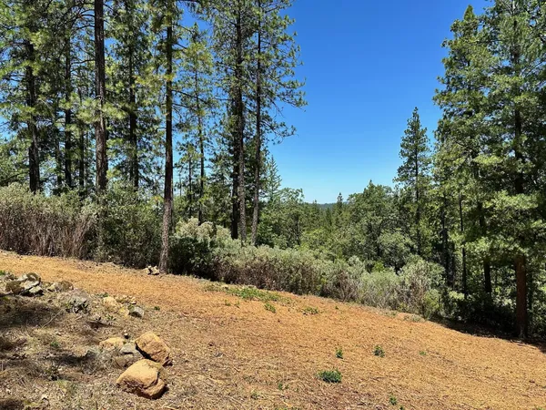 $300,000 | 400 East Summit View Dr Meadow Vista, Meadow Vista, CA 95722