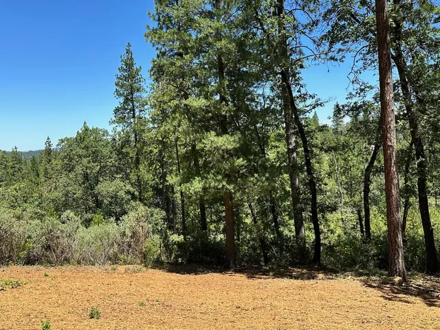 $300,000 | 400 East Summit View Dr Meadow Vista, Meadow Vista, CA 95722