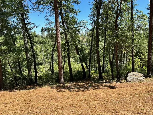 $300,000 | 400 East Summit View Dr Meadow Vista, Meadow Vista, CA 95722