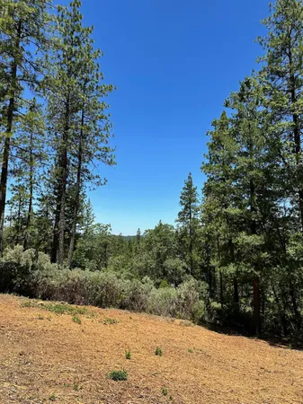 $300,000 | 400 East Summit View Dr Meadow Vista, Meadow Vista, CA 95722