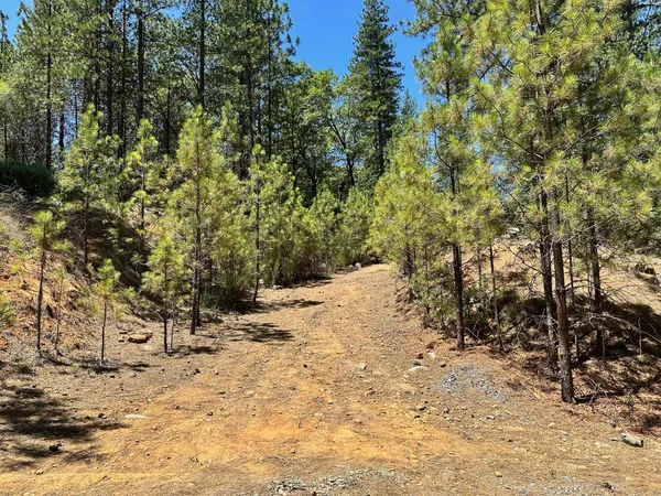 $300,000 | 400 East Summit View Dr Meadow Vista, Meadow Vista, CA 95722