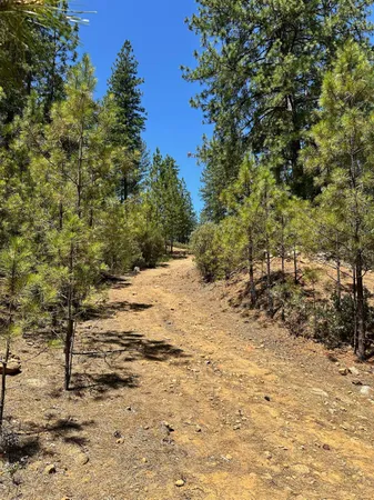 $300,000 | 400 East Summit View Dr Meadow Vista, Meadow Vista, CA 95722