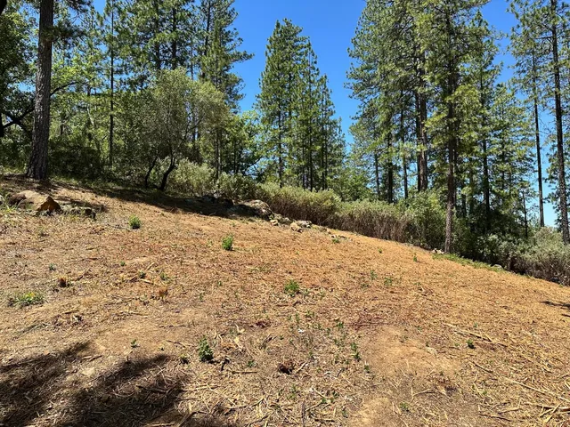 $300,000 | 400 East Summit View Dr Meadow Vista, Meadow Vista, CA 95722