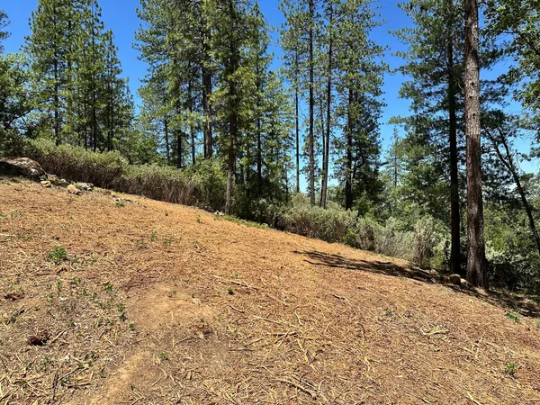 $300,000 | 400 East Summit View Dr Meadow Vista, Meadow Vista, CA 95722