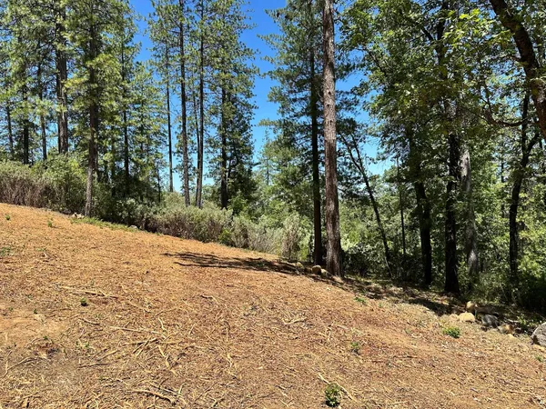 $300,000 | 400 East Summit View Dr Meadow Vista, Meadow Vista, CA 95722