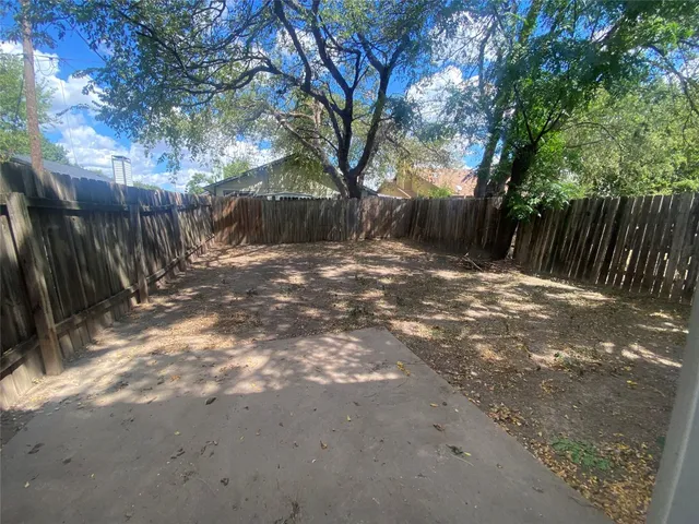 a view of backyard with tree