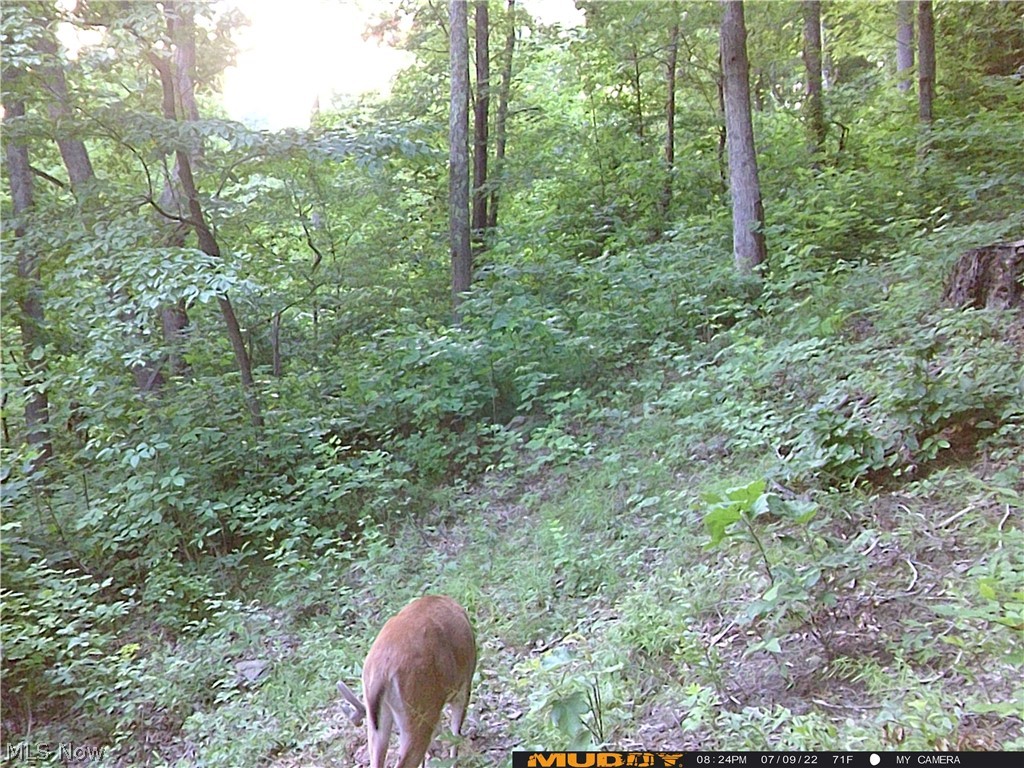 Campbell Road Freeport, OH 43973 - Photo 21 of 33 Gallery Image 21