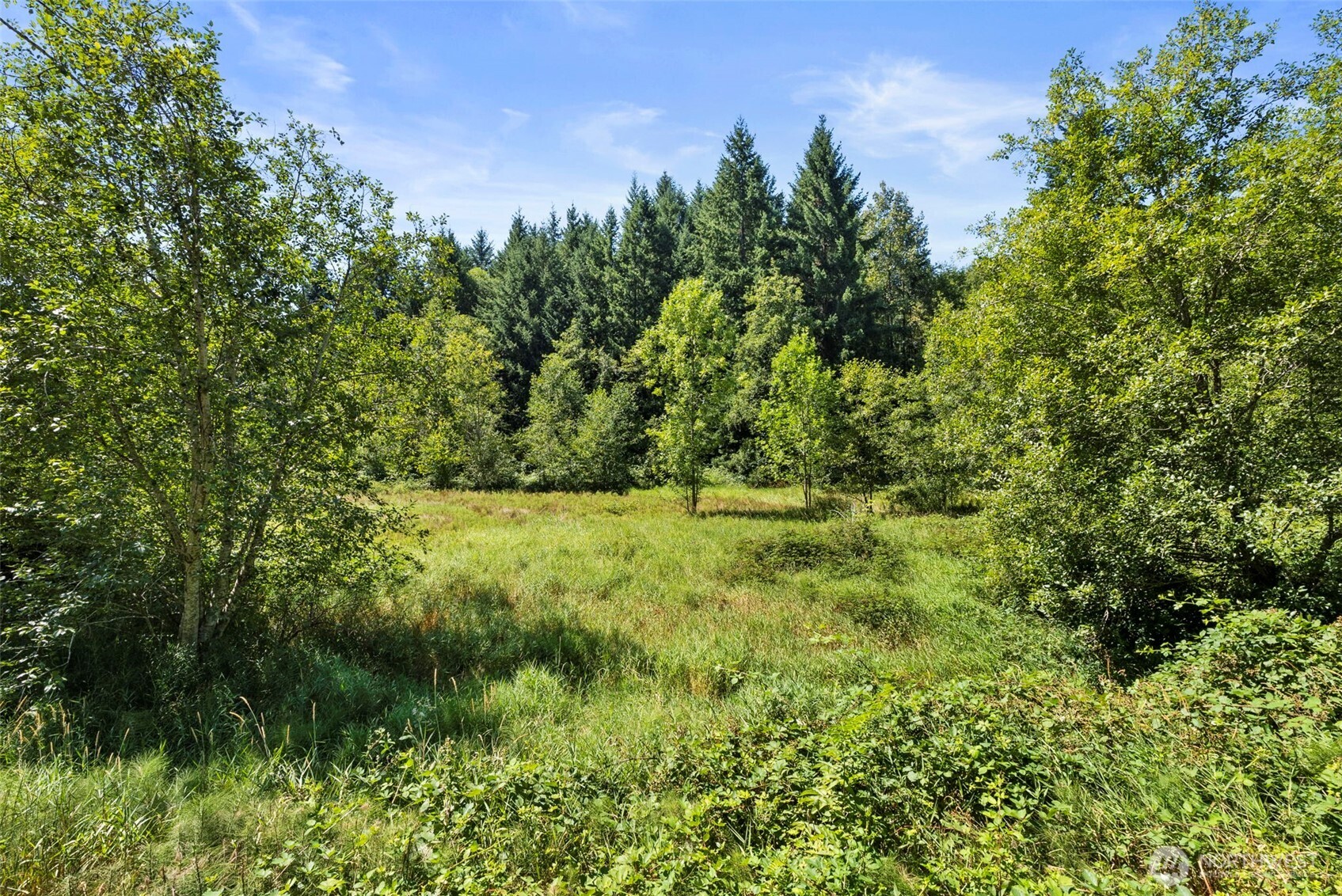 179 Halliday Road Centralia, WA 98531 - Photo 2 of 34 a view of a garden