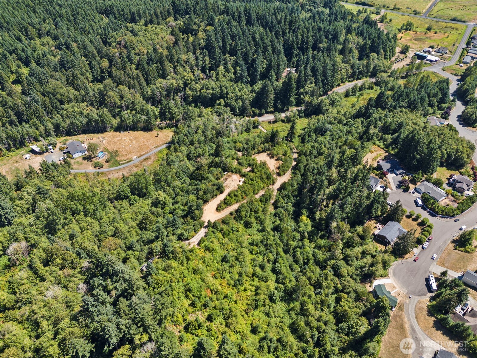 179 Halliday Road Centralia, WA 98531 - Photo 22 of 34 a backyard of a house with lots of green space and garden