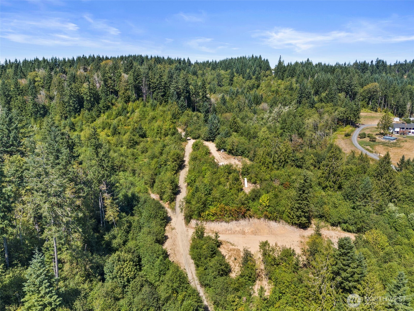 179 Halliday Road Centralia, WA 98531 - Photo 26 of 34 a view of a forest with a street