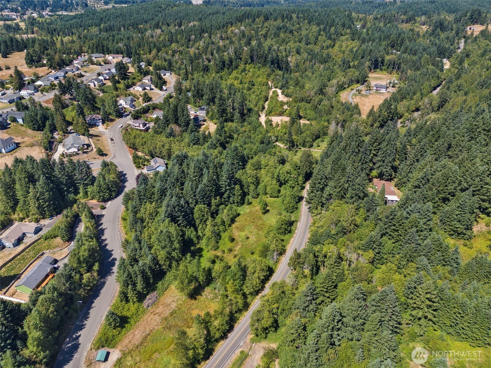 179 Halliday Road Centralia, WA 98531 - Photo 31 of 34 an aerial view of residential houses with outdoor space and trees