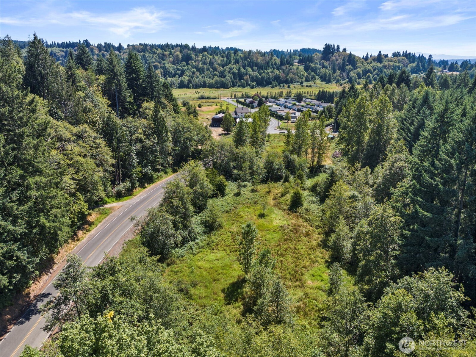 179 Halliday Road Centralia, WA 98531 - Photo 33 of 34 a view of a lake with a mountain in the background