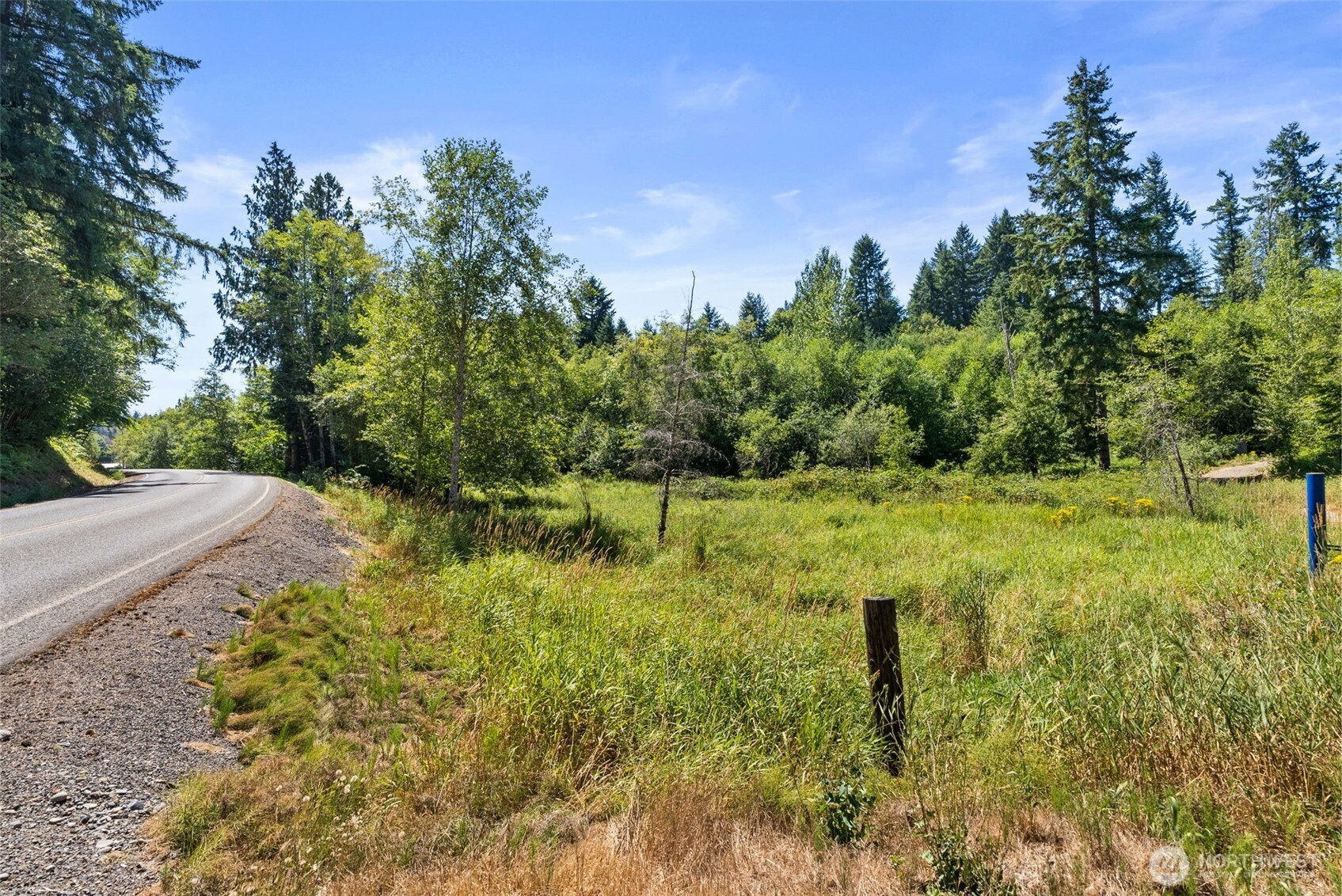 179 Halliday Road Centralia, WA 98531 - Photo 4 of 34 a view of a garden with plants and large trees