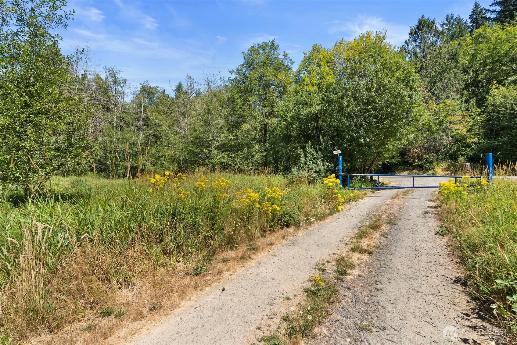 179 Halliday Road Centralia, WA 98531 - Photo 5 of 34 a view of park with large trees