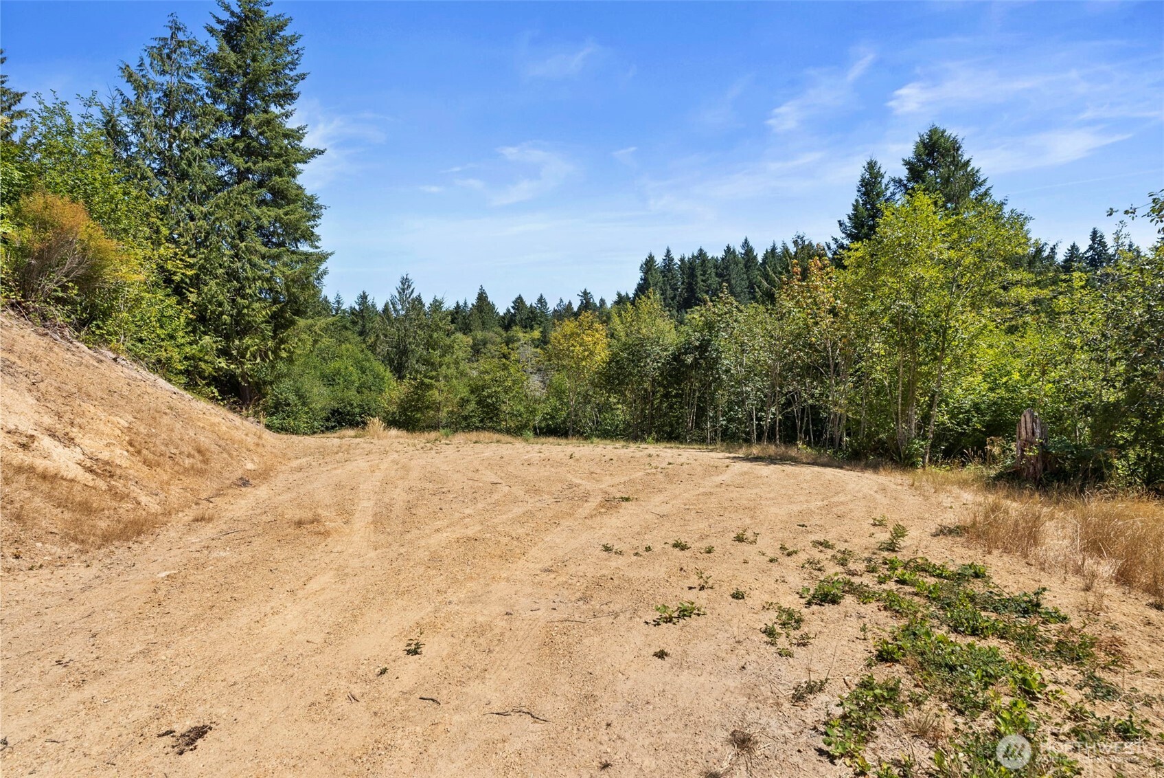 179 Halliday Road Centralia, WA 98531 - Photo 9 of 34 a view of a covered with snow on the road