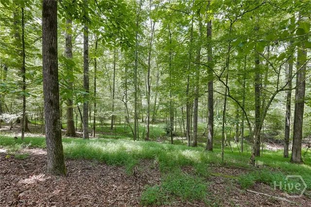 $649,900 | 295 Blue Heron Drive, Athens, GA 30605