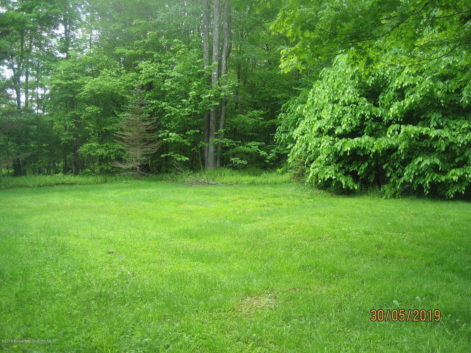 1341 Burnwood Road Thompson, PA 18465 - Photo 19 of 20 Back Yard