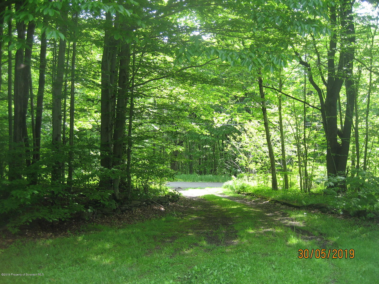 1341 Burnwood Road Thompson, PA 18465 - Photo 3 of 20 Drive