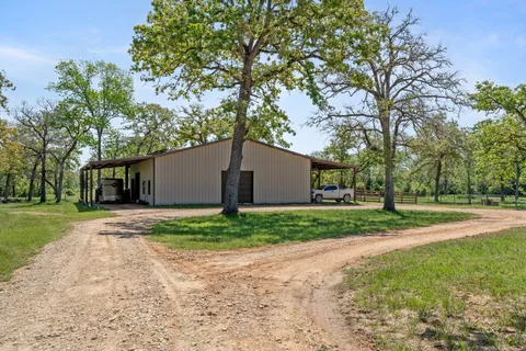 a view of a yard with a house and a large tree