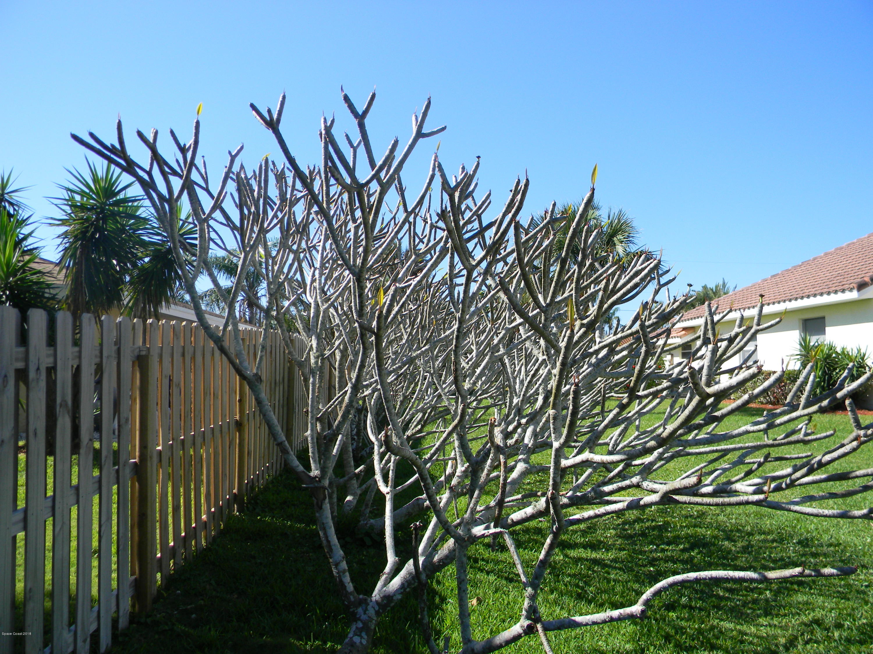 340 Riggs Avenue Melbourne Beach, FL 32951 - Photo 31 of 49 DSCN1202