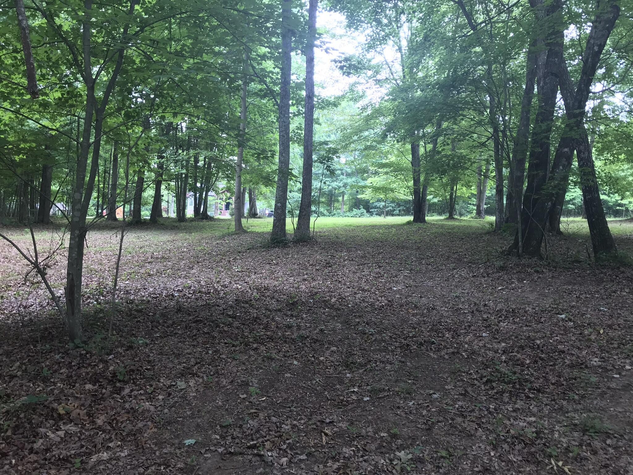 503 Wilderness Way Dunlap, TN 37327 - Photo 22 of 22