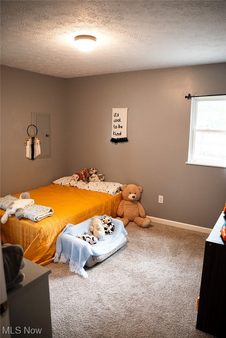 1906 Aberdeen Road Madison, OH 44057 - Photo 15 of 16 Bedroom