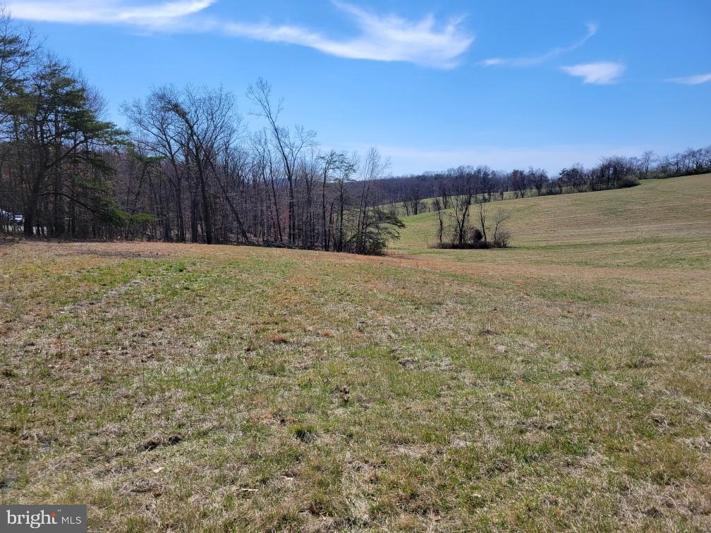 Red Oak Road Cross Junction, VA 22625 - Photo 4 of 11 a view of an outdoor space and a yard