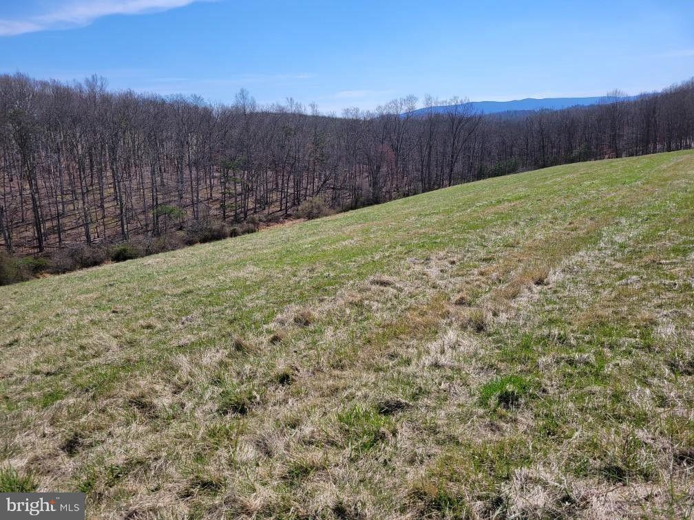 Red Oak Road Cross Junction, VA 22625 - Photo 5 of 11 a view of a yard with wooden fence