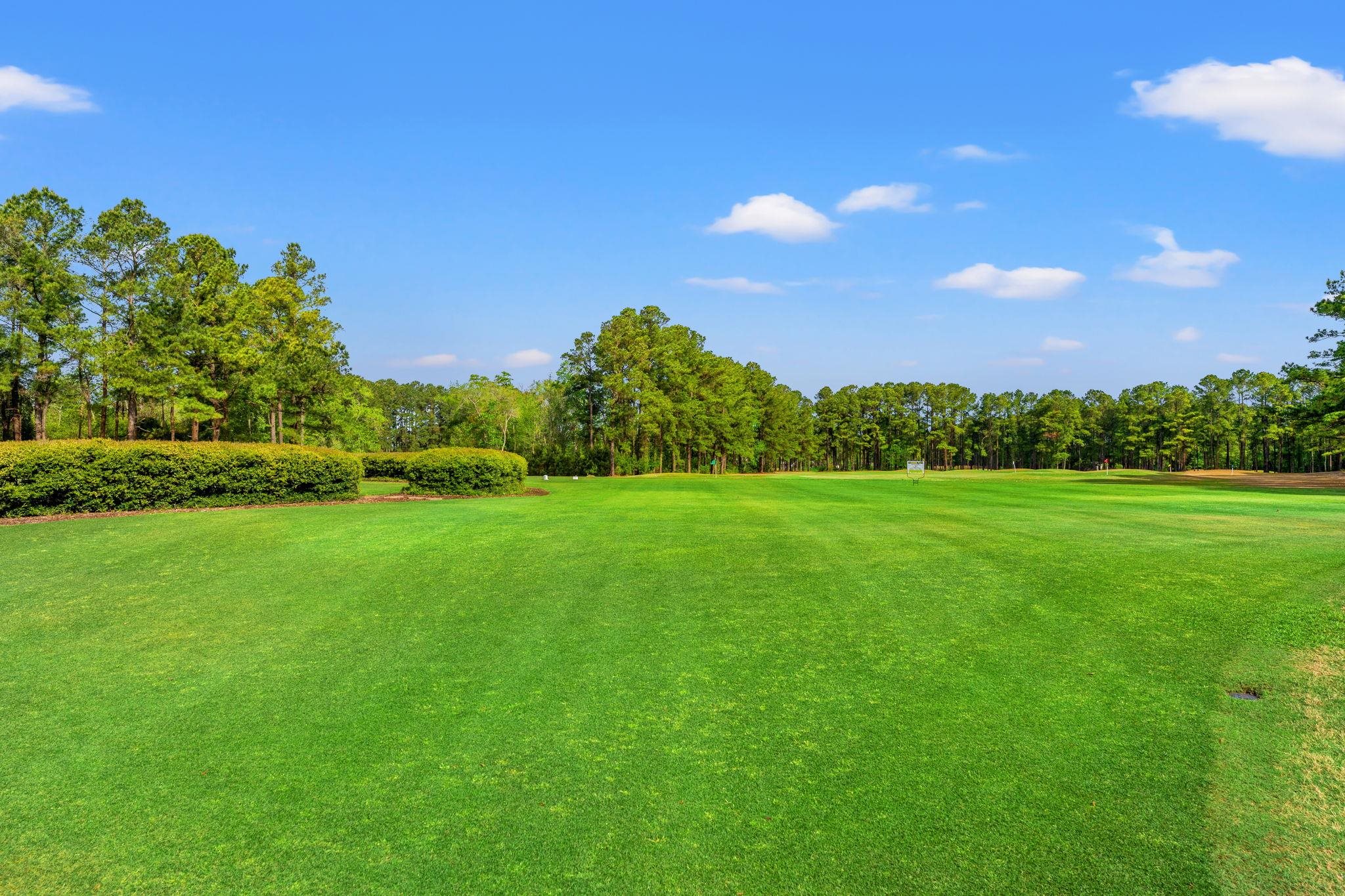 808 Stone Pine Court Loris, SC 29569 - Photo 35 of 47