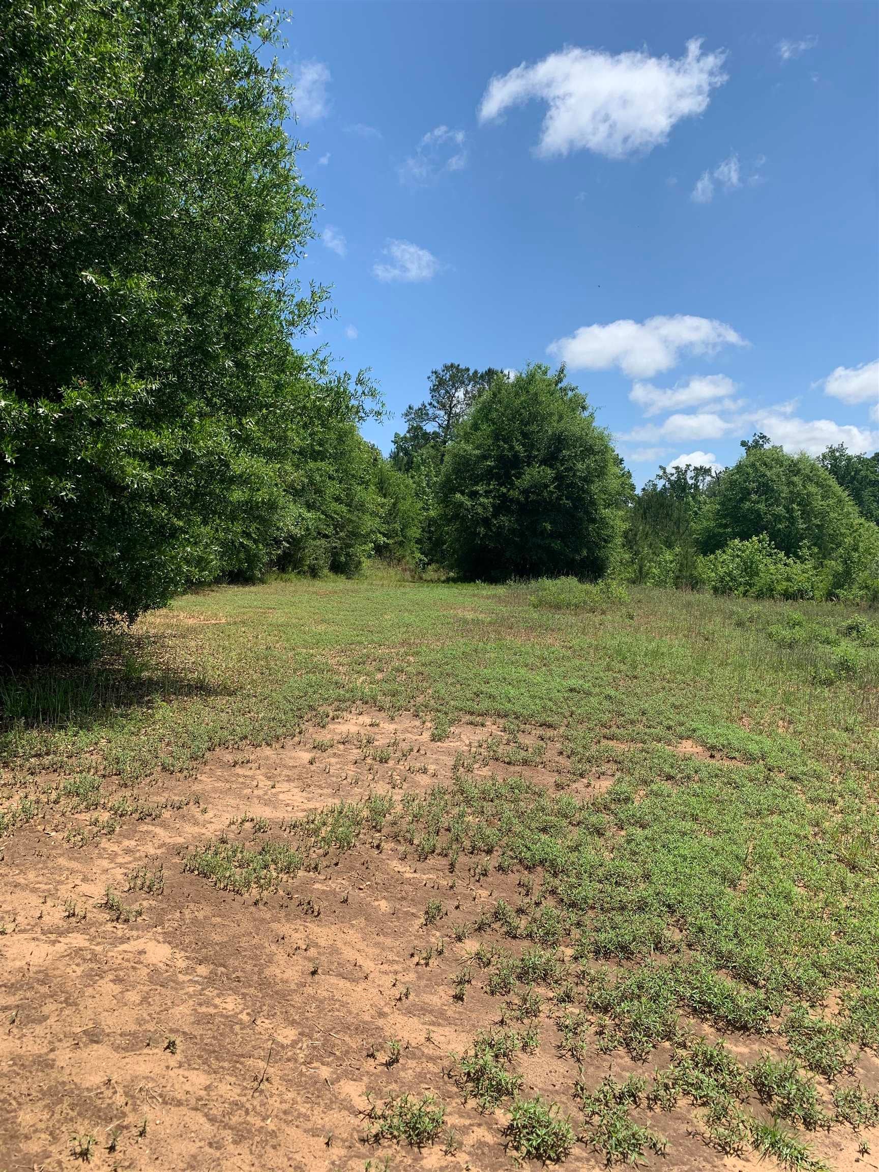 21599 Airport Road Andalusia, AL 36421 - Photo 19 of 42 Gallery Image 19