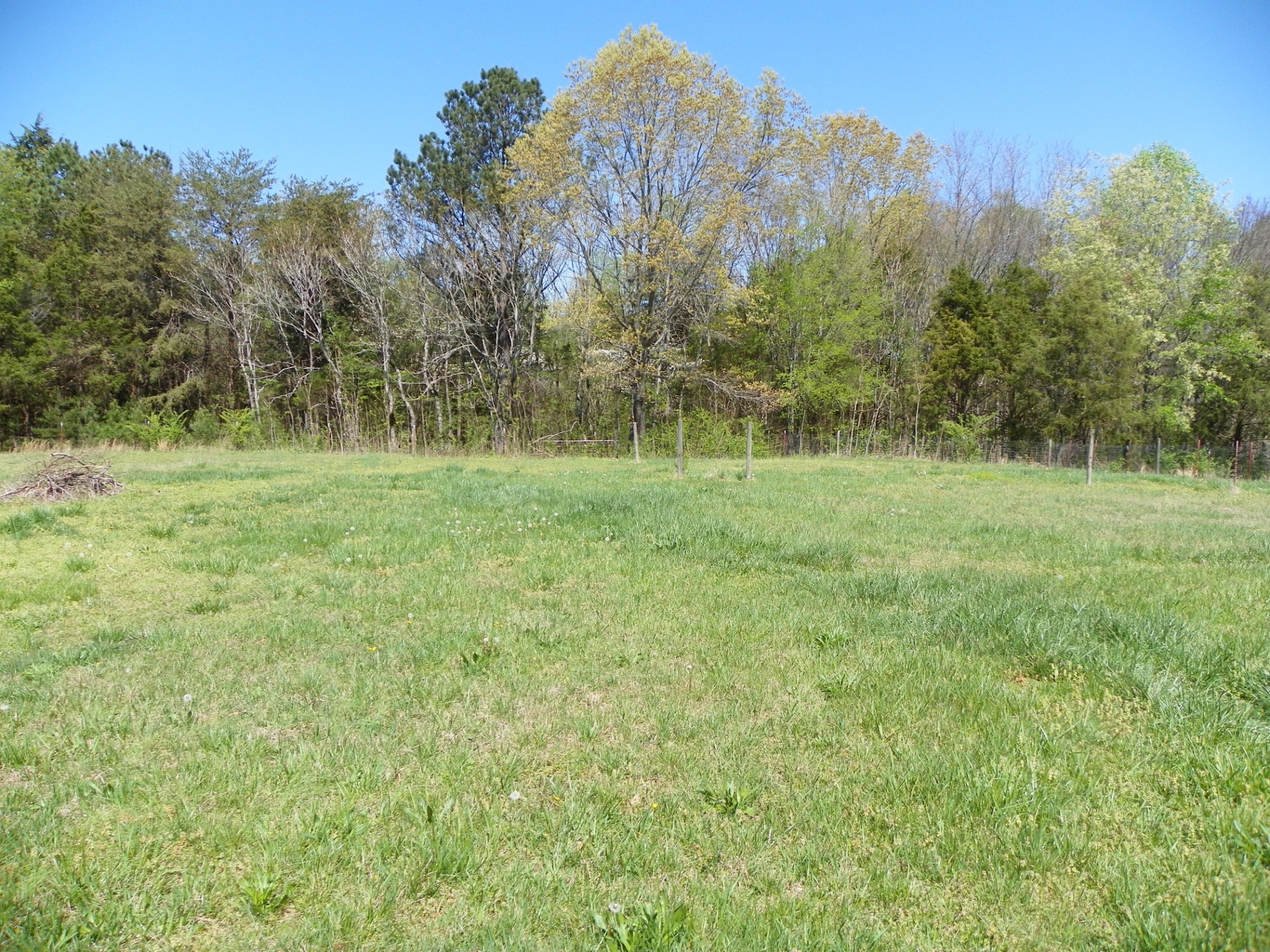306 Doug Luna Road Walling, TN 38587 - Photo 11 of 11 Gallery Image 11