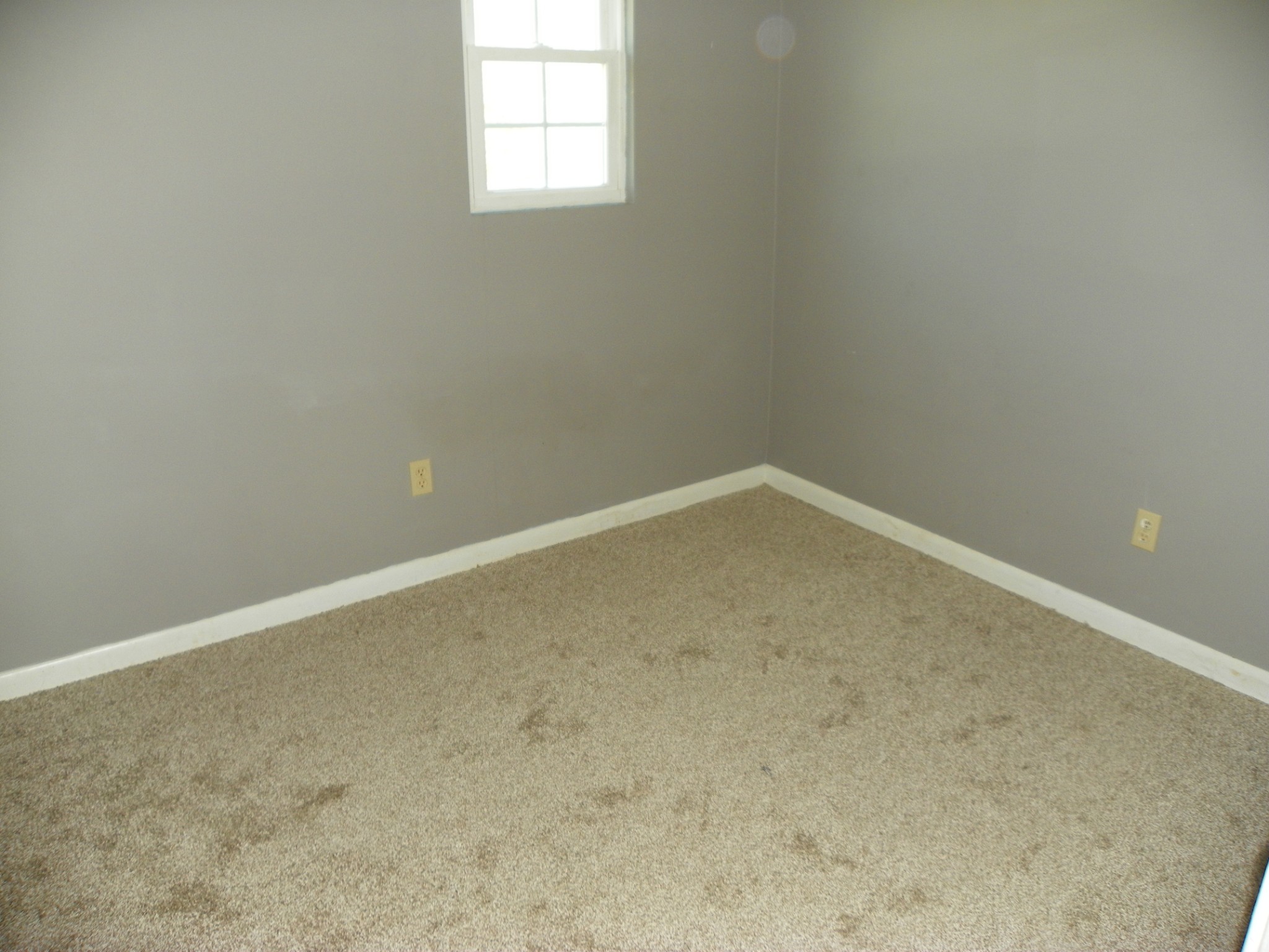 306 Doug Luna Road Walling, TN 38587 - Photo 5 of 11 Gallery Image 5