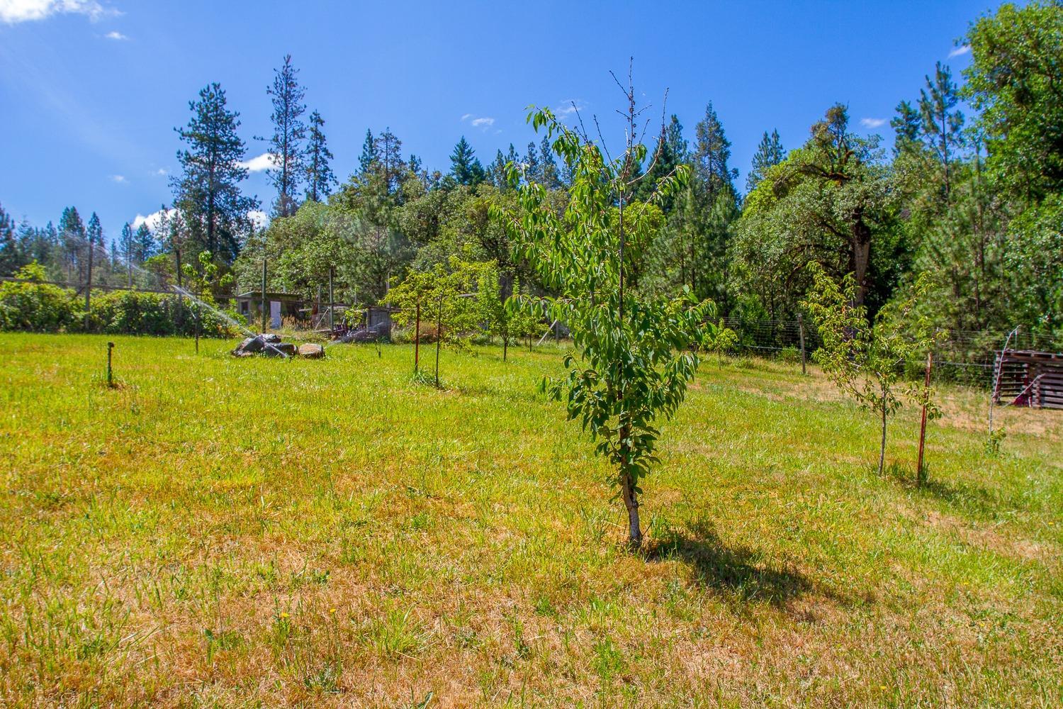 234 Browns Road Williams, OR 97544 - Photo 13 of 32 Additional Photo