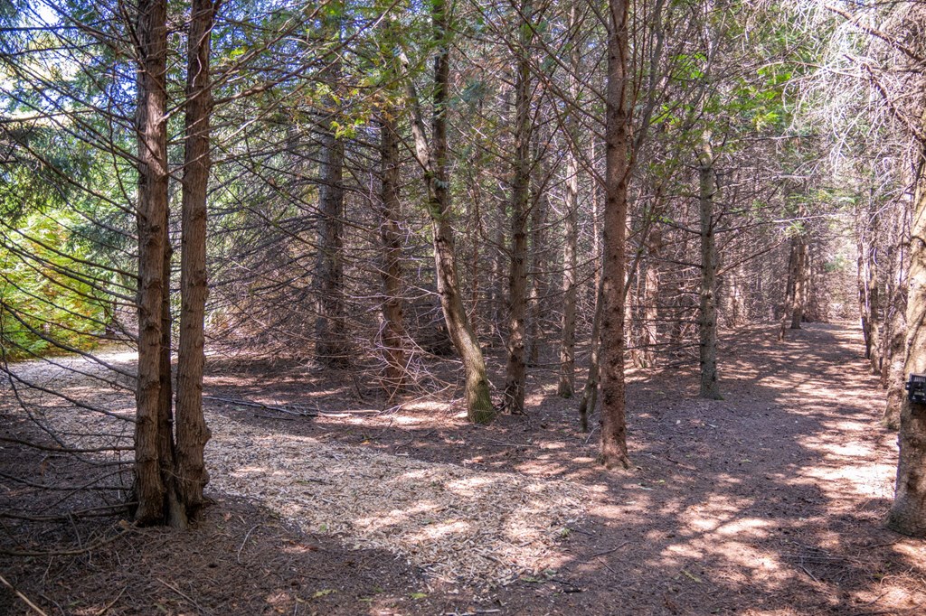 Lot 6 Wildwood Road Ellison Bay, WI 54210 - Photo 41 of 55