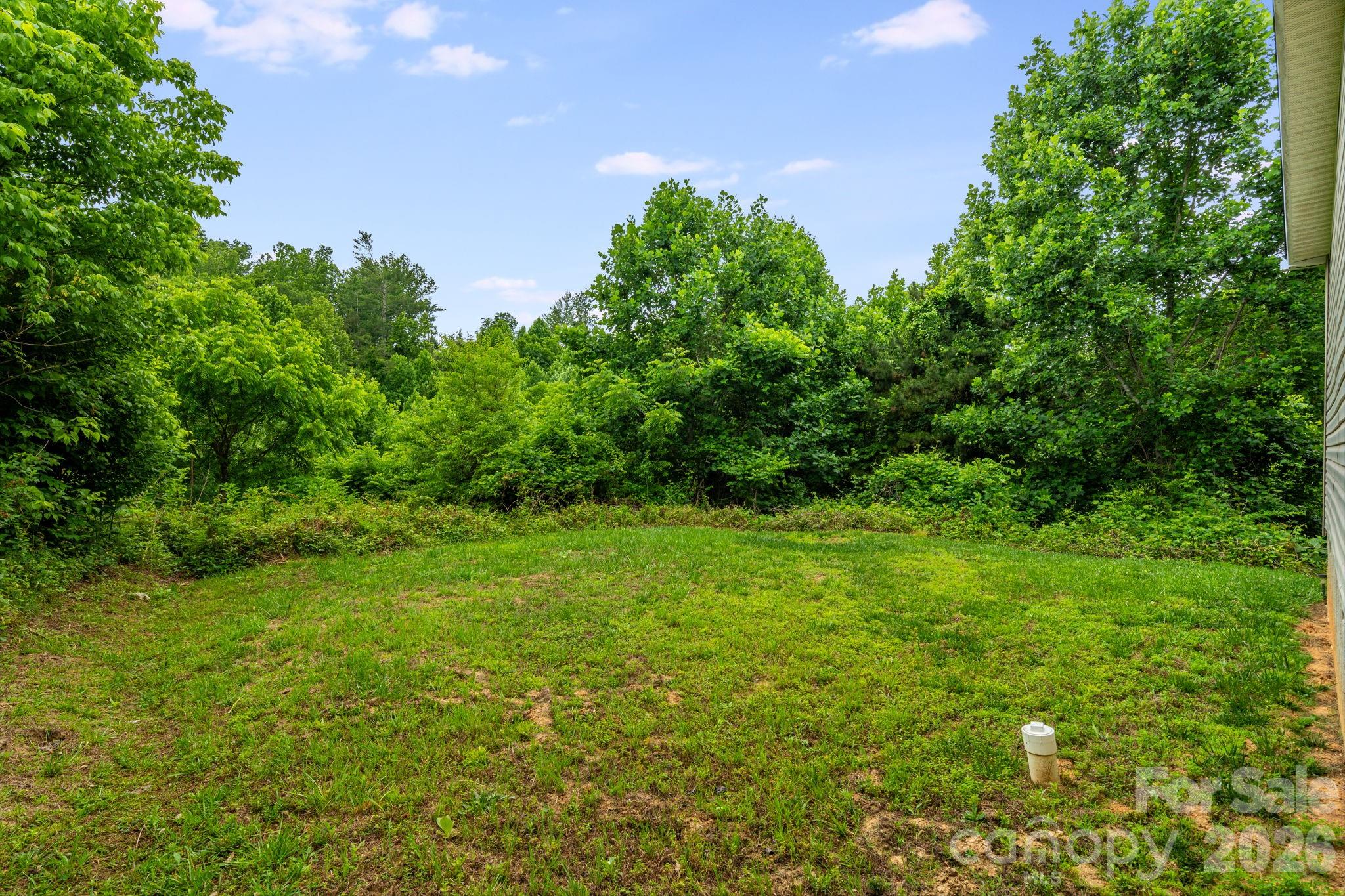 77 Star Flower Road Alexander, NC 28701 - Photo 27 of 37