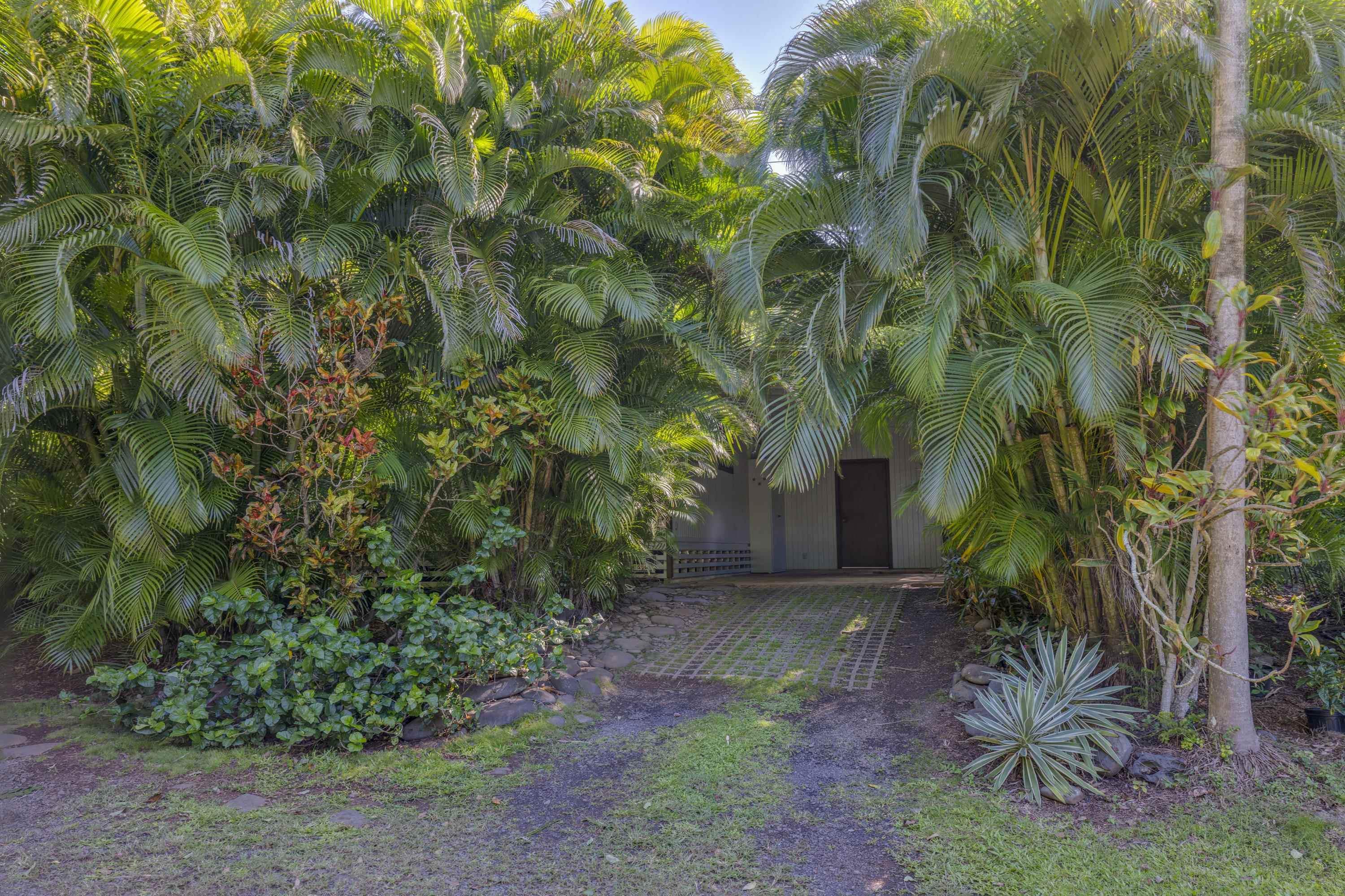 1002 Kauhikoa Road, Unit 2 Haiku, HI 96708 - Photo 2 of 24 a view of a backyard with plants and large trees