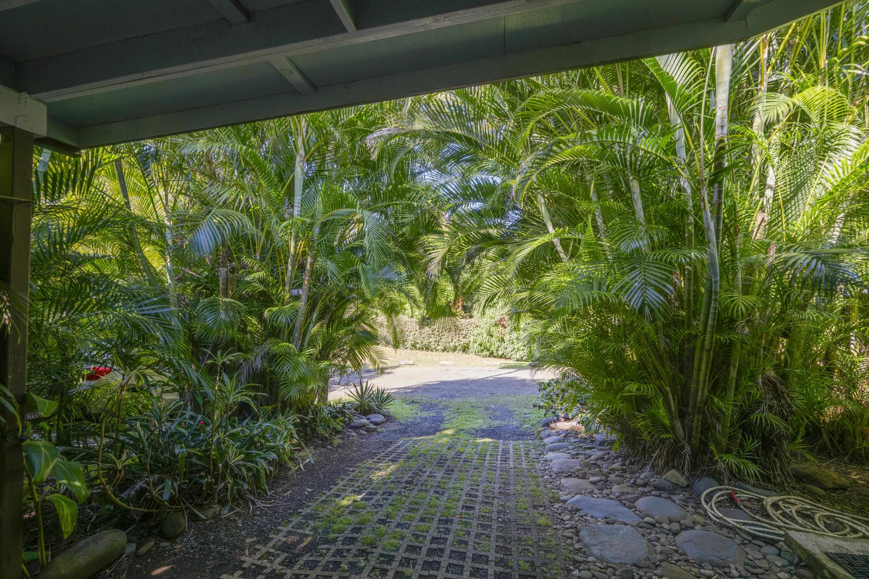 1002 Kauhikoa Road, Unit 2 Haiku, HI 96708 - Photo 3 of 24 a view of a yard with plants