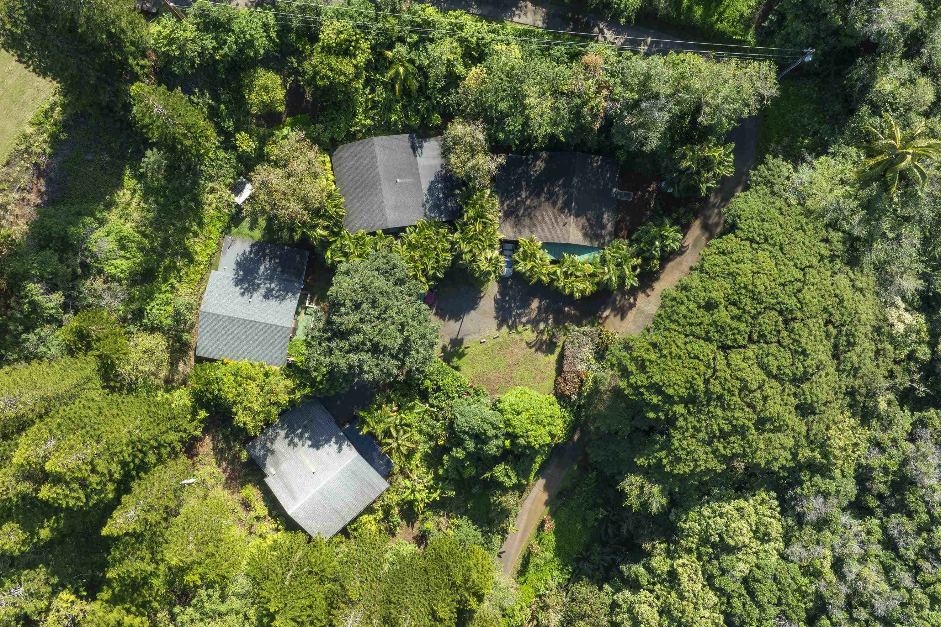 1002 Kauhikoa Road, Unit 2 Haiku, HI 96708 - Photo 4 of 24 an aerial view of a house with a yard and large trees
