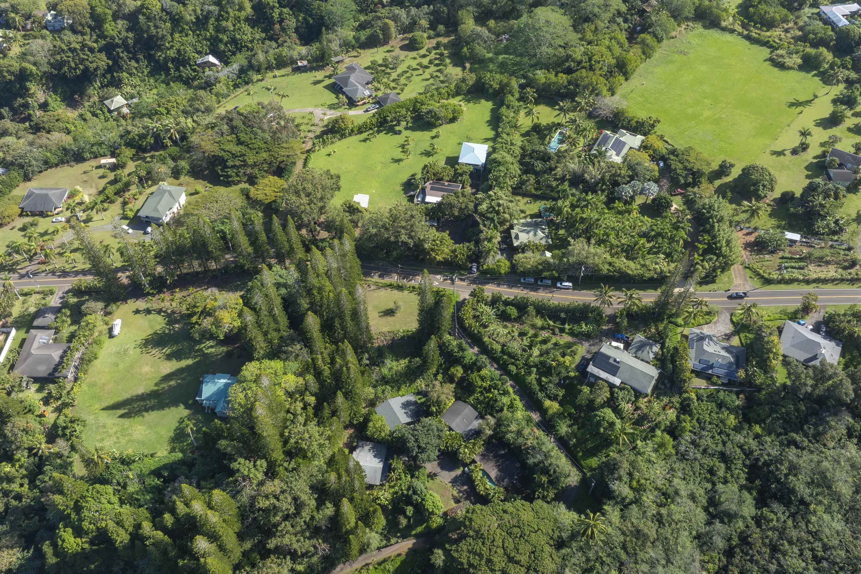 1002 Kauhikoa Road, Unit 2 Haiku, HI 96708 - Photo 5 of 24 a view of a garden with a tree