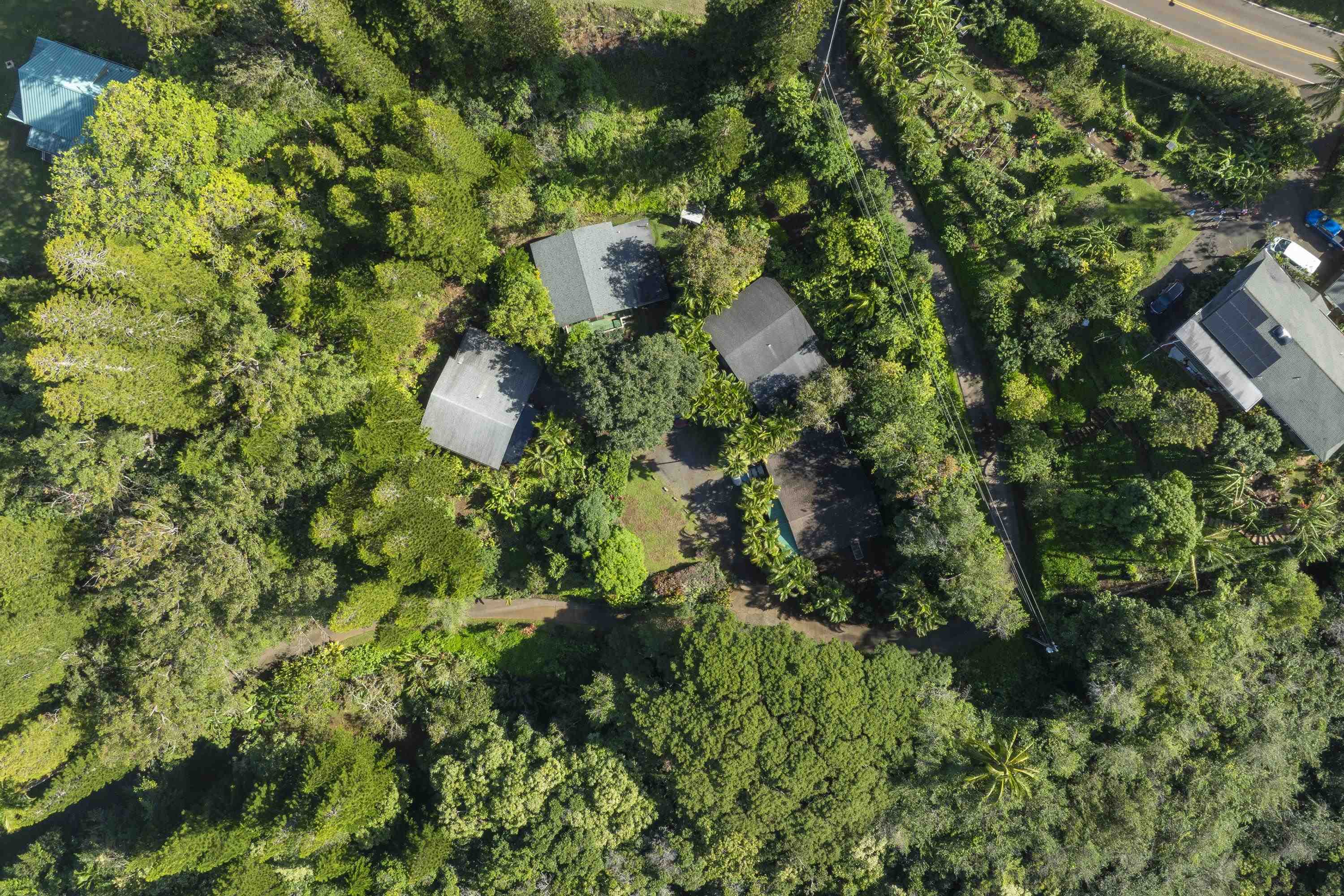 1002 Kauhikoa Road, Unit 2 Haiku, HI 96708 - Photo 6 of 24 a plant view