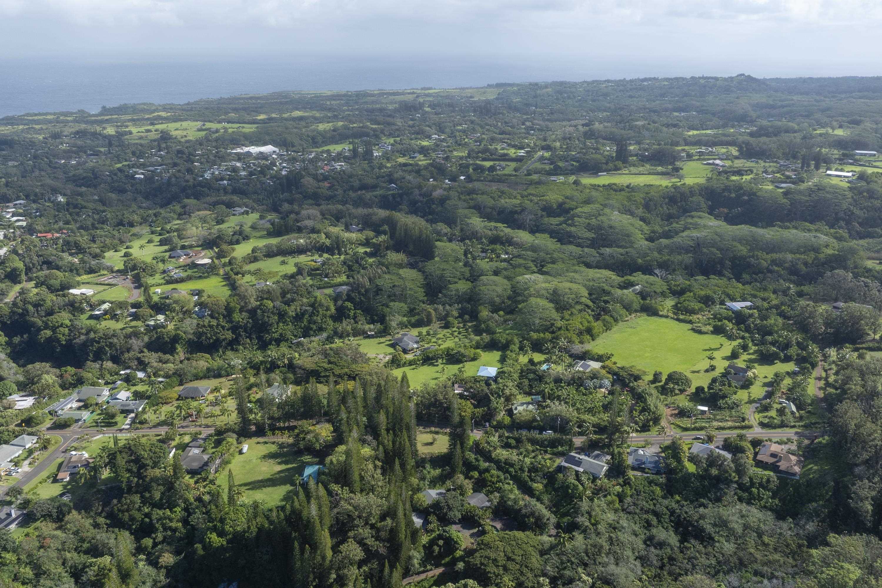 1002 Kauhikoa Road, Unit 2 Haiku, HI 96708 - Photo 7 of 24 an aerial view of residential houses with outdoor space and trees