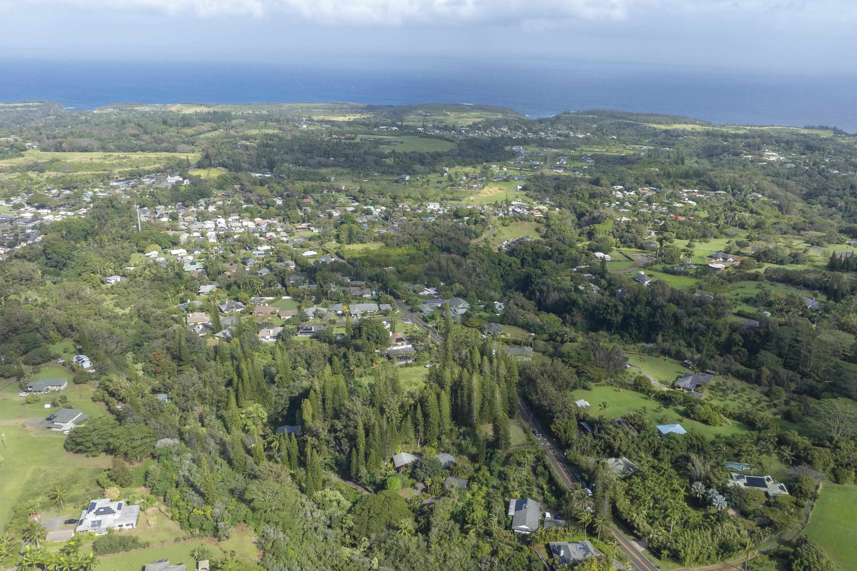 1002 Kauhikoa Road, Unit 2 Haiku, HI 96708 - Photo 8 of 24 a view of a field with an ocean