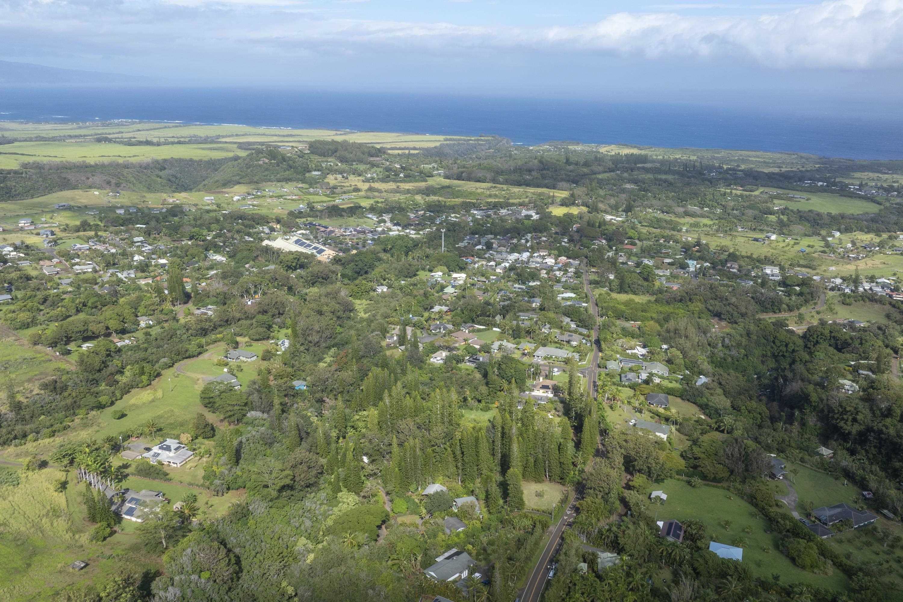 1002 Kauhikoa Road, Unit 2 Haiku, HI 96708 - Photo 9 of 24 a view of yard with outdoor space