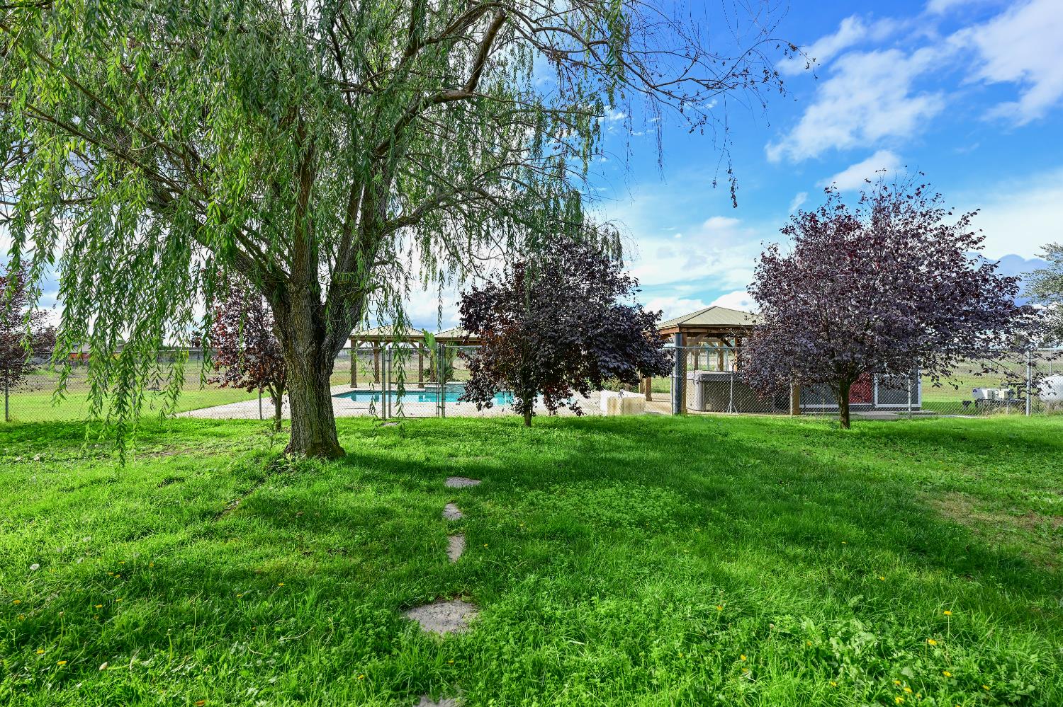 21088 Forest Glen Road Madera, CA 93638 - Photo 24 of 31 a view of a yard with a tree
