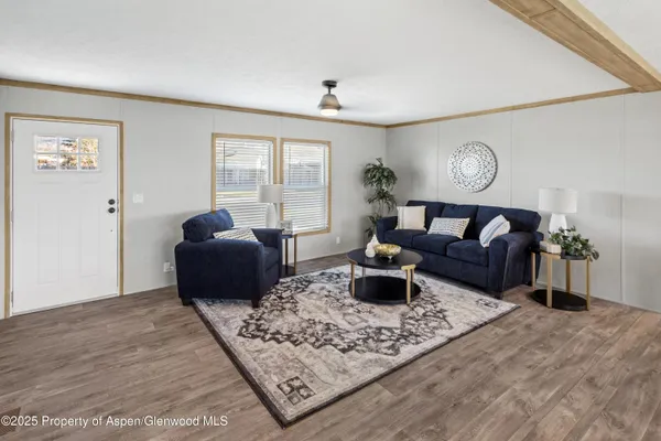 a living room with furniture rug and window