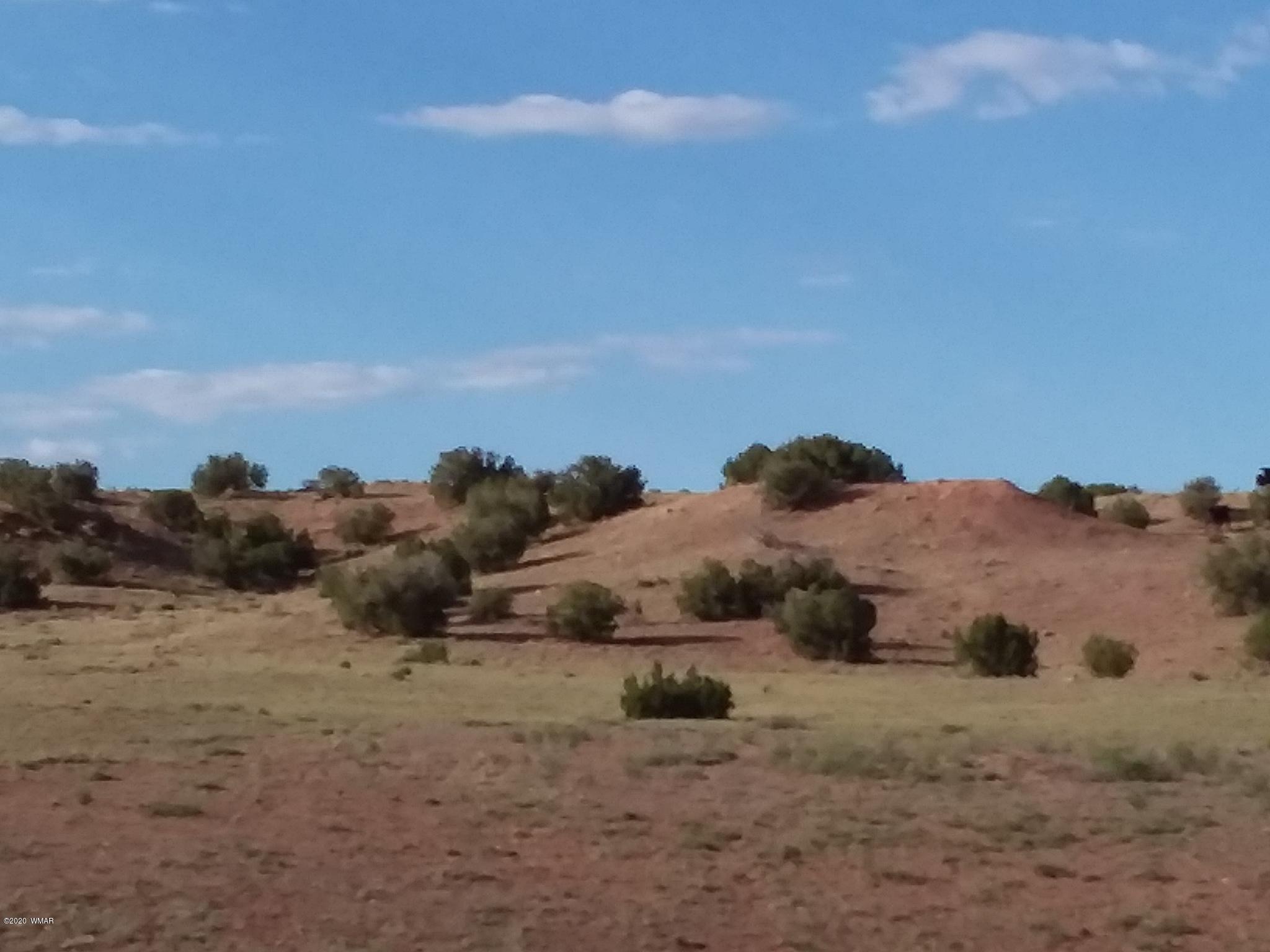 Lot 1 River Springs Ranch St. Johns, AZ 85936 - Photo 1 of 7