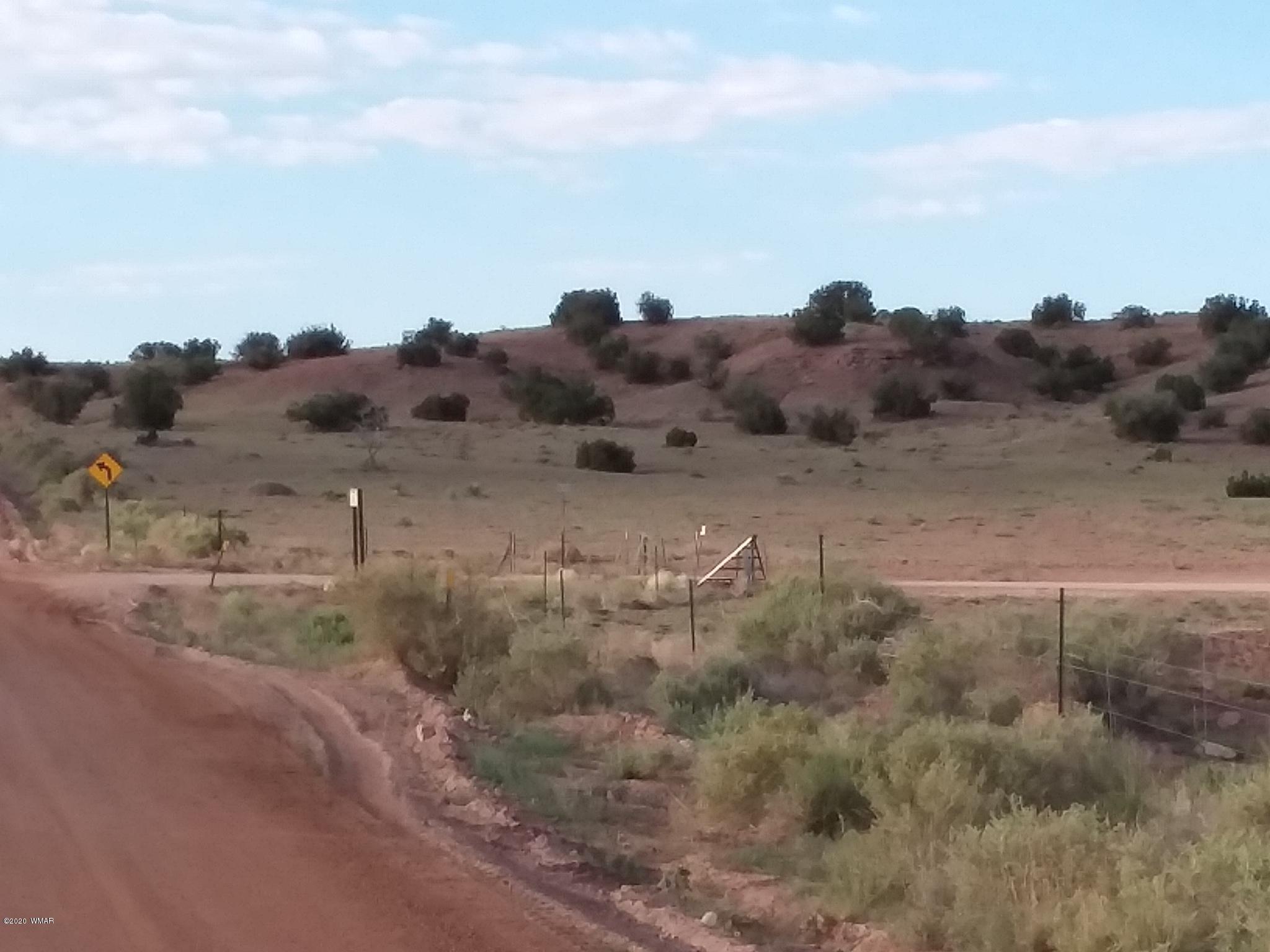 Lot 1 River Springs Ranch St. Johns, AZ 85936 - Photo 3 of 7